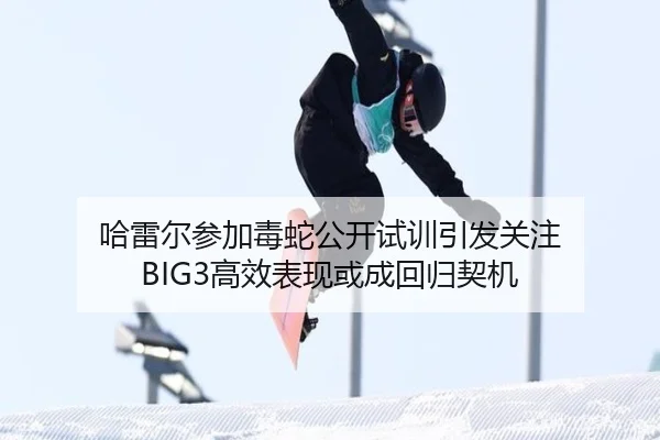 哈雷尔参加毒蛇公开试训引发关注 BIG3高效表现或成回归契机